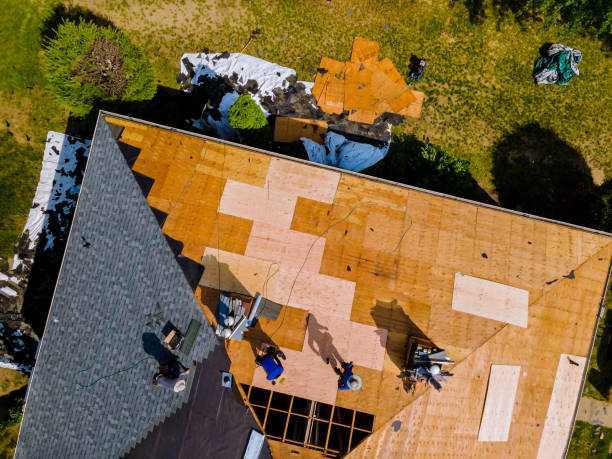 Best Roof Gutter Cleaning  in Edgewood, WA