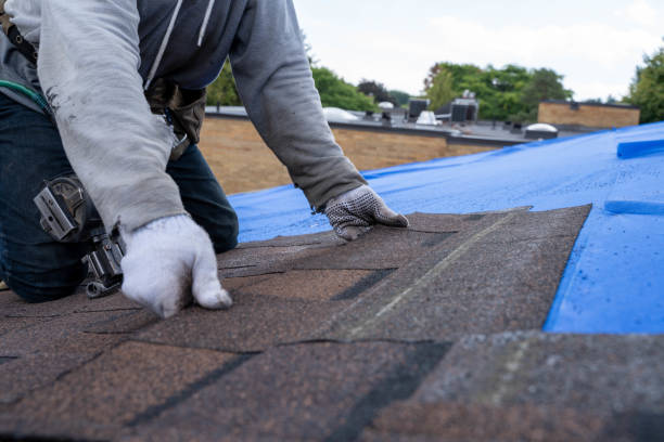 Best Emergency Roof Repair  in Edgewood, WA