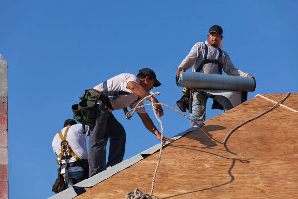 Best Roof Gutter Cleaning  in Edgewood, WA