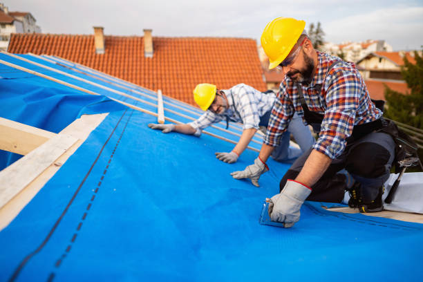 Best Metal Roofing Contractor  in Edgewood, WA
